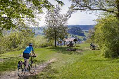 Gickelfelsen bei Neckargerach / Odenwald