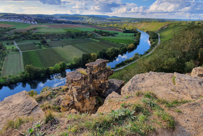 Hessigheimer Felsengärten Blick auf den Neckar