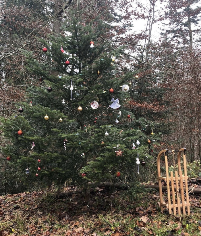 Weihnachtsbaum, Adventsweg Heiligenzimmern [Copyright: Karin Karl]