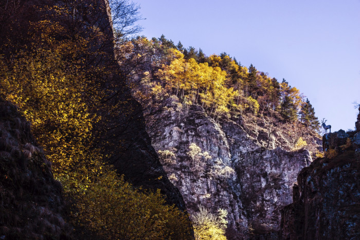 Hirschsprung im Herbst [Copyright: Hochschwarzwald Tourismus GmbH]