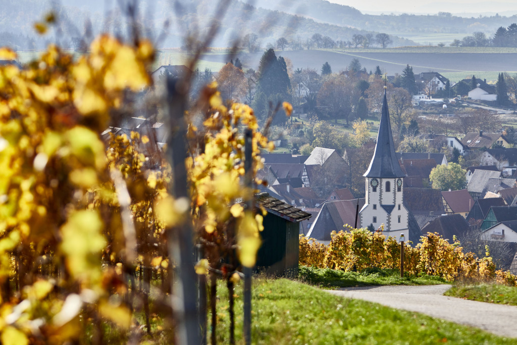 Bilck auf den Weinsüden Weinort Kürnbach