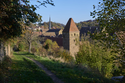Blick auf das Kloster Maulbronn