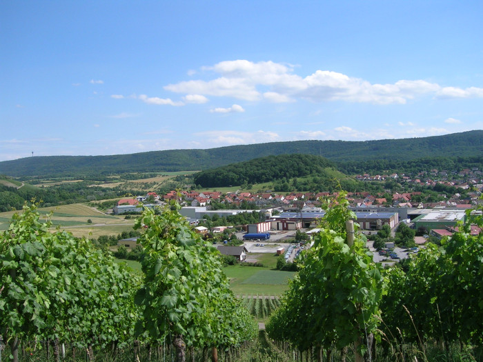 Blick auf des Gewerbegebiet in Zaberfeld mit Spitzenberg [Copyright: Land der 1000 Hügel - Kraichgau-Stromberg]
