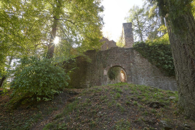Ruine Stolzeneck bei Neunkirchen / Odenwald