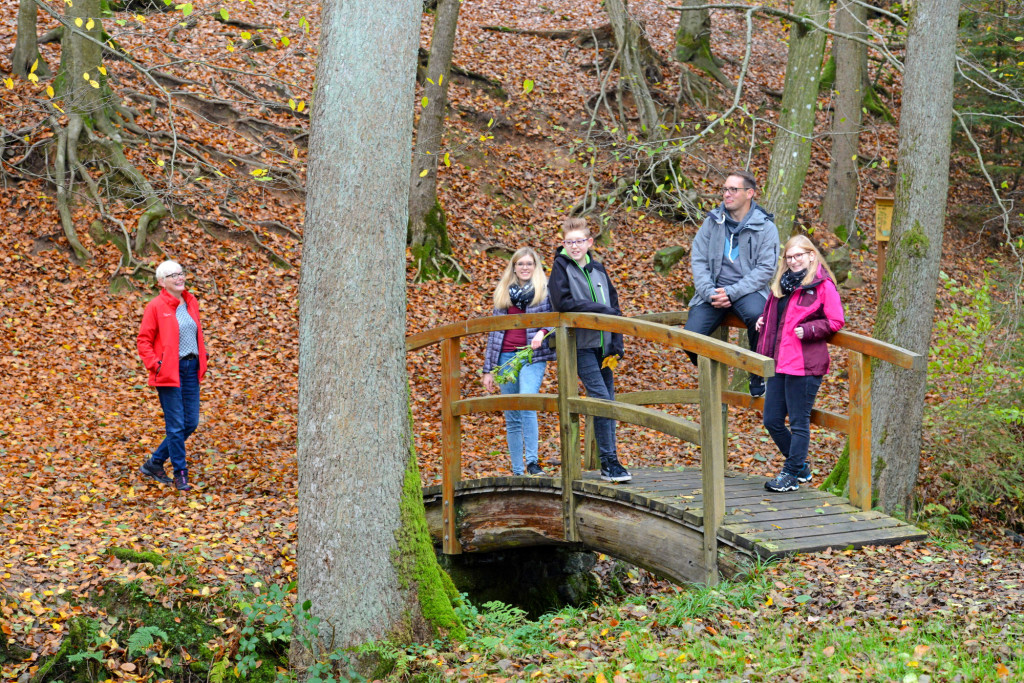Herbstlicher Wald in Aglasterhausen / Odenwald