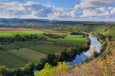 Hessigheimer Felsengärten Blick auf den Neckar