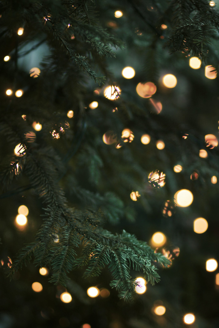 Weihnachtsbaum [Copyright: morgane le breton Ym4my Xj8EY unsplash free download]