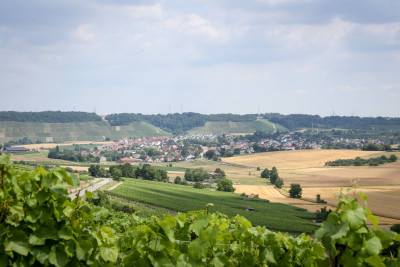 Ansichten Kleingartach, Weinberg, Stadt Eppingen