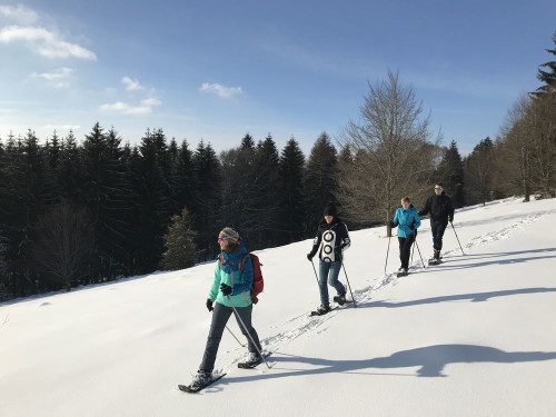 Vier Schneeschuhwanderer*innen laufen in einer Reihe mit kleinem Abstand hintereinander her und lächeln. Sie ziehen Spuren in den Schnee. Im Hintergrund ist Wald. Der Himmel ist blau mit ein paar Wolken am linken Bildrand.