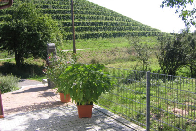 Besenwirtschaft Weingut Echle | Brackenheim-Neipperg | Blick in die Weinberge