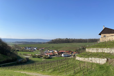 Besenwirtschaft Weingut Echle | Brackenheim-Neipperg | Blick von Burg Neipperg