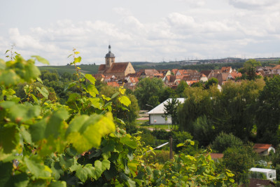 Stäffelestour | Lauffen am Neckar | Weinsüden Weinort