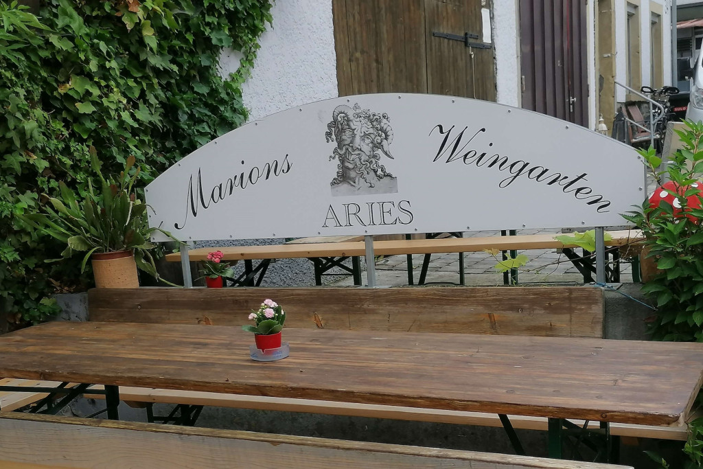 Weingarten der Besenwirtschaft Weingut Aries | Widdern | HeilbronnerLand