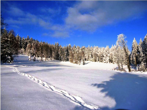 Schneeschuhwandern durch den Bayerischen Wald