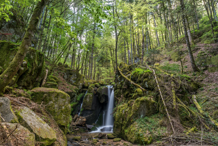 Höllbachwasserfälle [Copyright: Hotzenwald Tourismus GmbH]