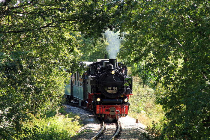 Oechsle Bahn 99 788 20130905 043090 Wald Wenned [Copyright: Öchsle-Museumsschmalspurbahn]
