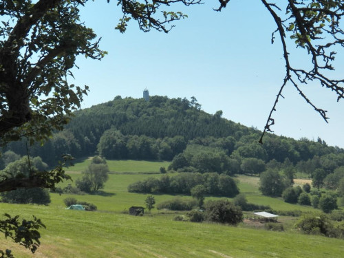 Blick zum Hessenturm bei Niedenstein