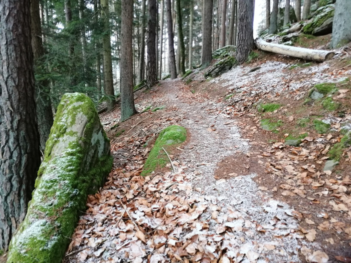 Trailtour Waldeck [Copyright: Nördlicher Schwarzwald]