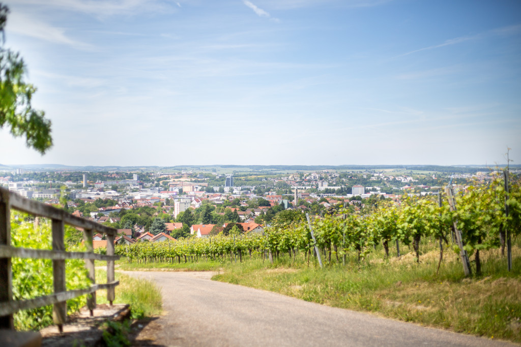 Wein Panorama Weg Heilbronn