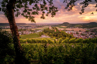 Blick vom Fohlenberg auf Burg Hohenbeilstein | HeilbronnerLand