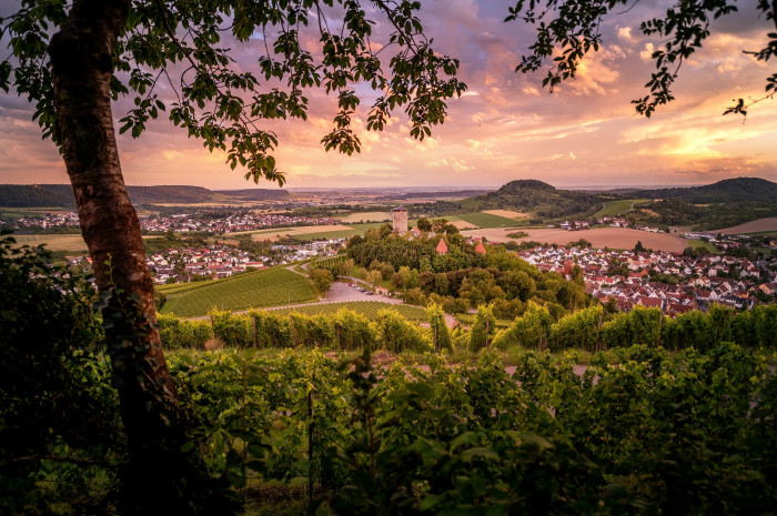 Blick vom Fohlenberg auf Burg Hohenbeilstein | HeilbronnerLand [Copyright: Touristikgemeinschaft HeilbronnerLand]