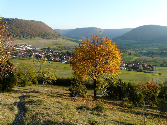 Aussicht vom Dalisberg [Copyright: Landkreis Göppingen]
