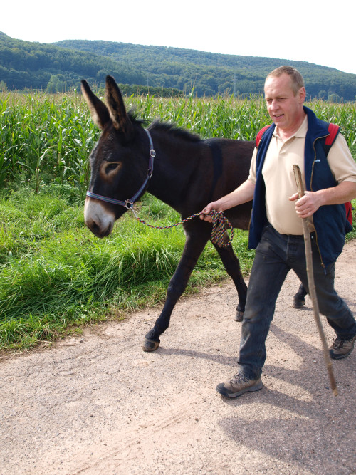 Uwe wandert mit seinem Esel am Dreienberg