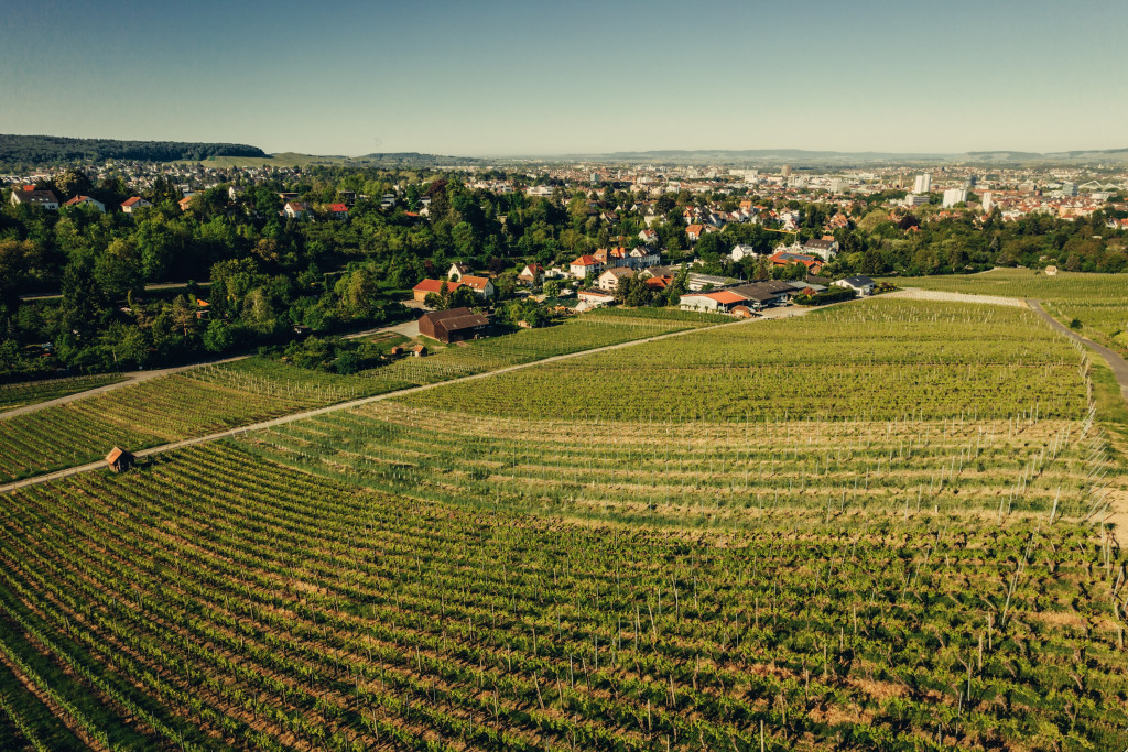 Panorama vom Wartberg Heilbronn | HeilbronnerLand