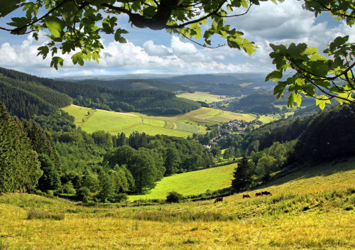 Blick ins Tal von der Oberndorfer Höhe