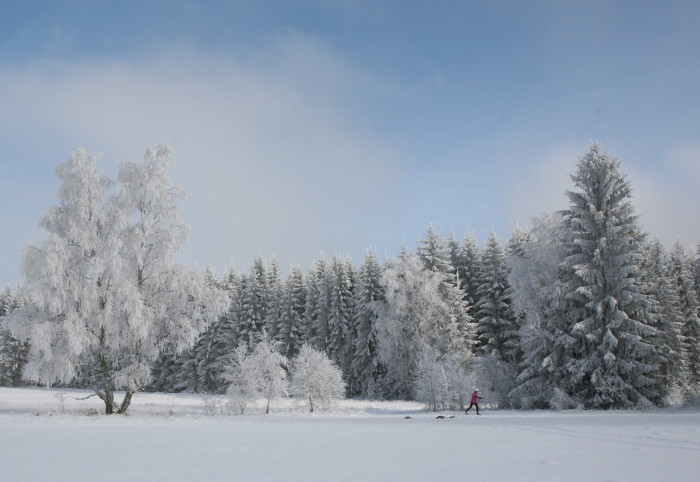 irndorfer Hardt im Winter [Copyright: Donaubergland GmbH / Susanne Marx]