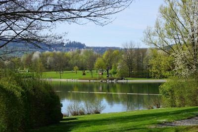 Breitenauer See - umgeben von Weinbergen im Weinsberger Tal | HeilbronnerLand