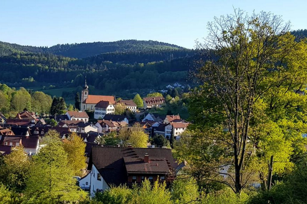 Blick auf Heiligkreuzsteinach / Odenwald