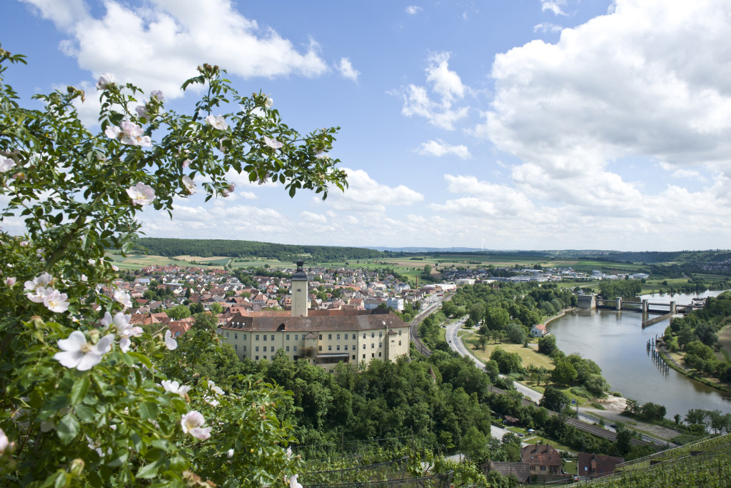 Blick auf Schloss Horneck | Stadt Gundelsheim | HeilbronnerLand