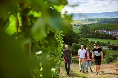 Kleingruppe in Weinbergen im Weinort Neipperg