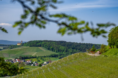 Blick auf den Weinausschank am Zweifelberg in Brackenheim