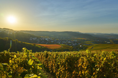 Weinpanorama Löwenstein | Aussicht über´s Weinsberger Tal | HeilbronnerLand