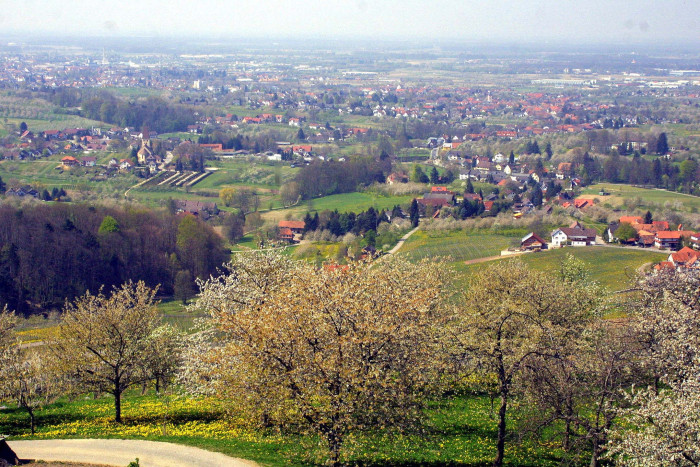 Blick auf Obersasbach [Copyright: ]