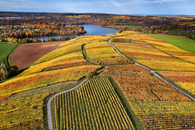 Herbstliche Weinlandschaft am Breitenauer See | HeilbronnerLand