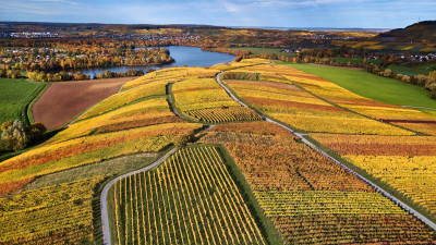 Herbstliche Weinlandschaft am Breitenauer See | HeilbronnerLand