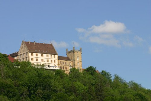 Ein Schloss mit Turm auf einem Berg.