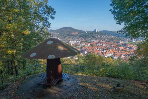 Blick auf Rotenburg an der Fulda vom Pilzchen
