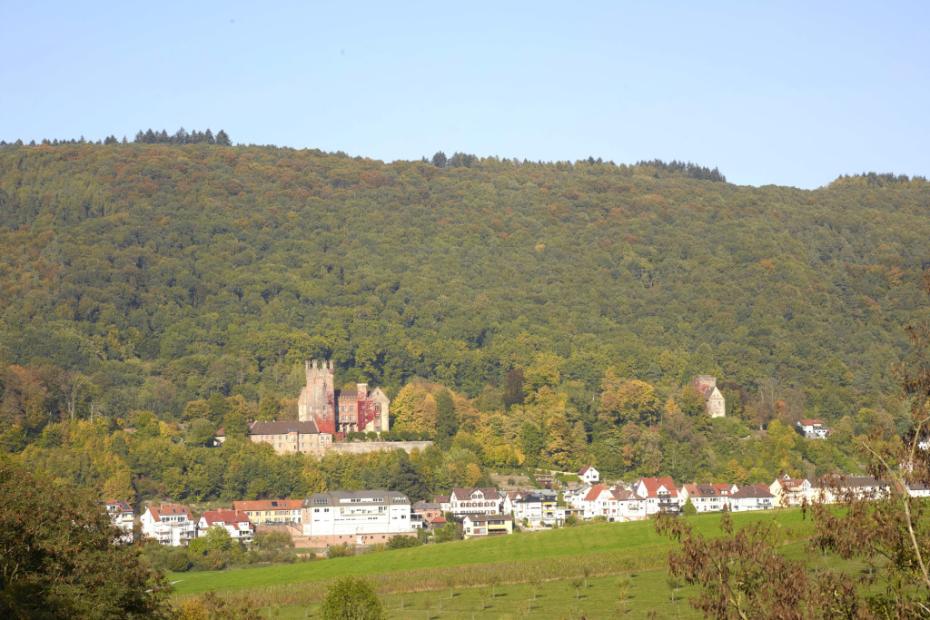 Blick auf die Vierburgenstadt Neckarsteinach