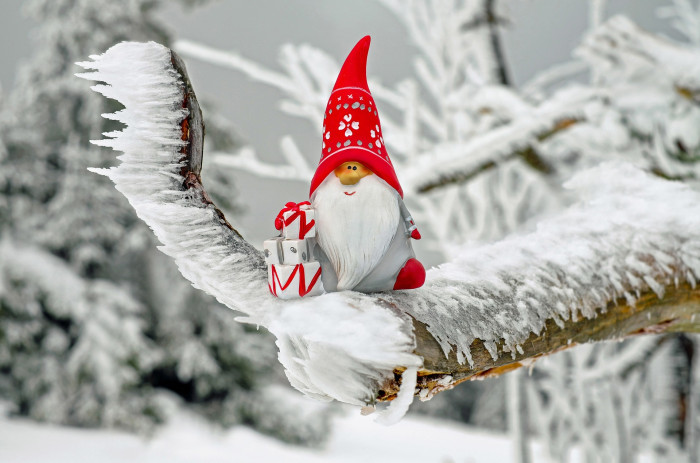 Nikolaus auf Zweig [Copyright: Ilo auf Pixabay]