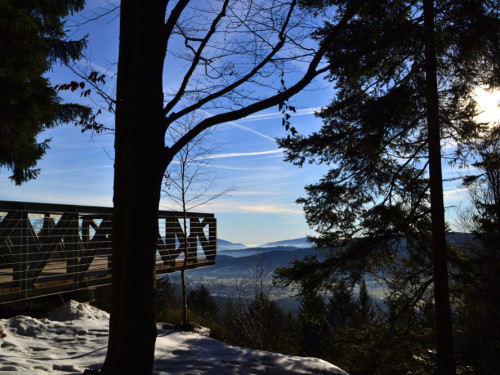 Blick im Winter auf die Aussichtsplattform SKYWALK im Bayerischen Wald