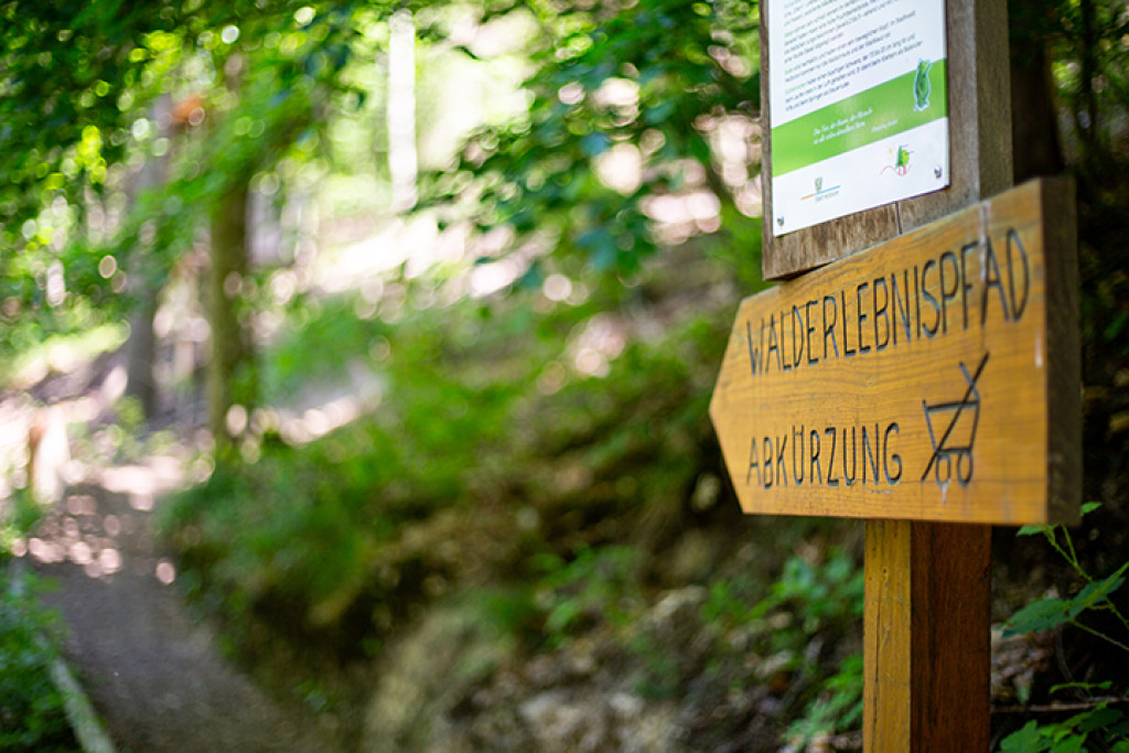 Walderlebnispfad im Heilbronner Stadtwald