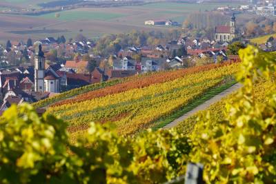 Blick auf den Weinsüden Weinort Erlenbach | HeilbronnerLand