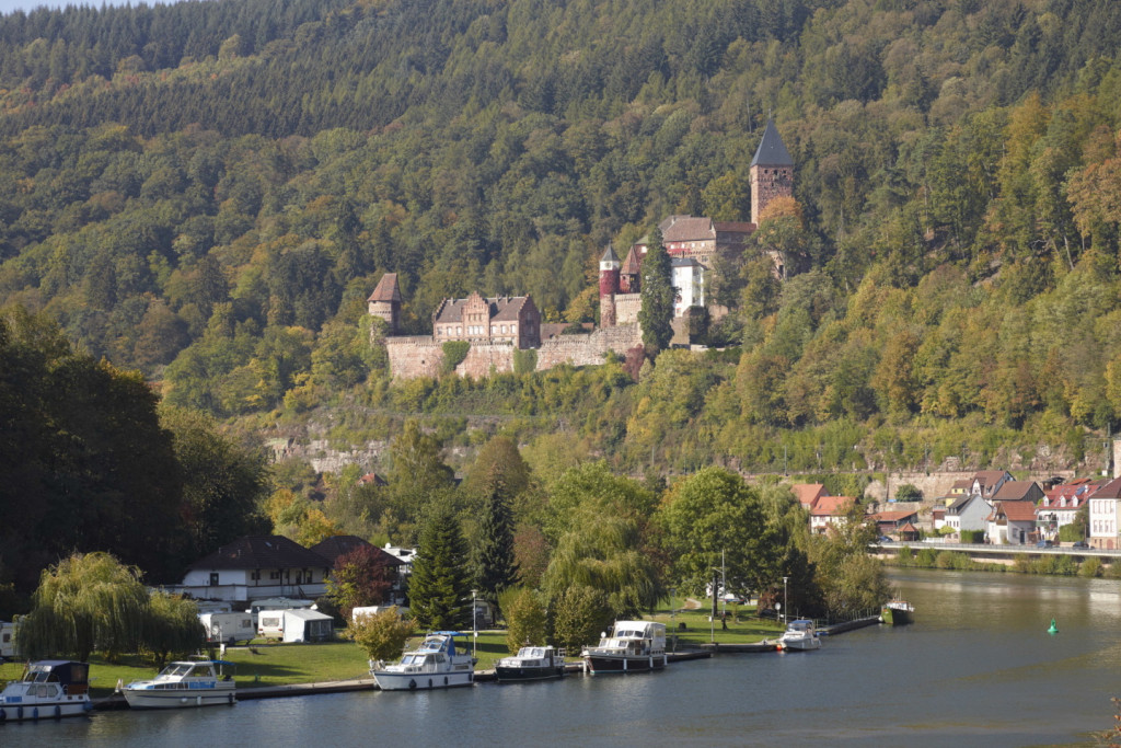 Blick auf Schloss Zwingenberg