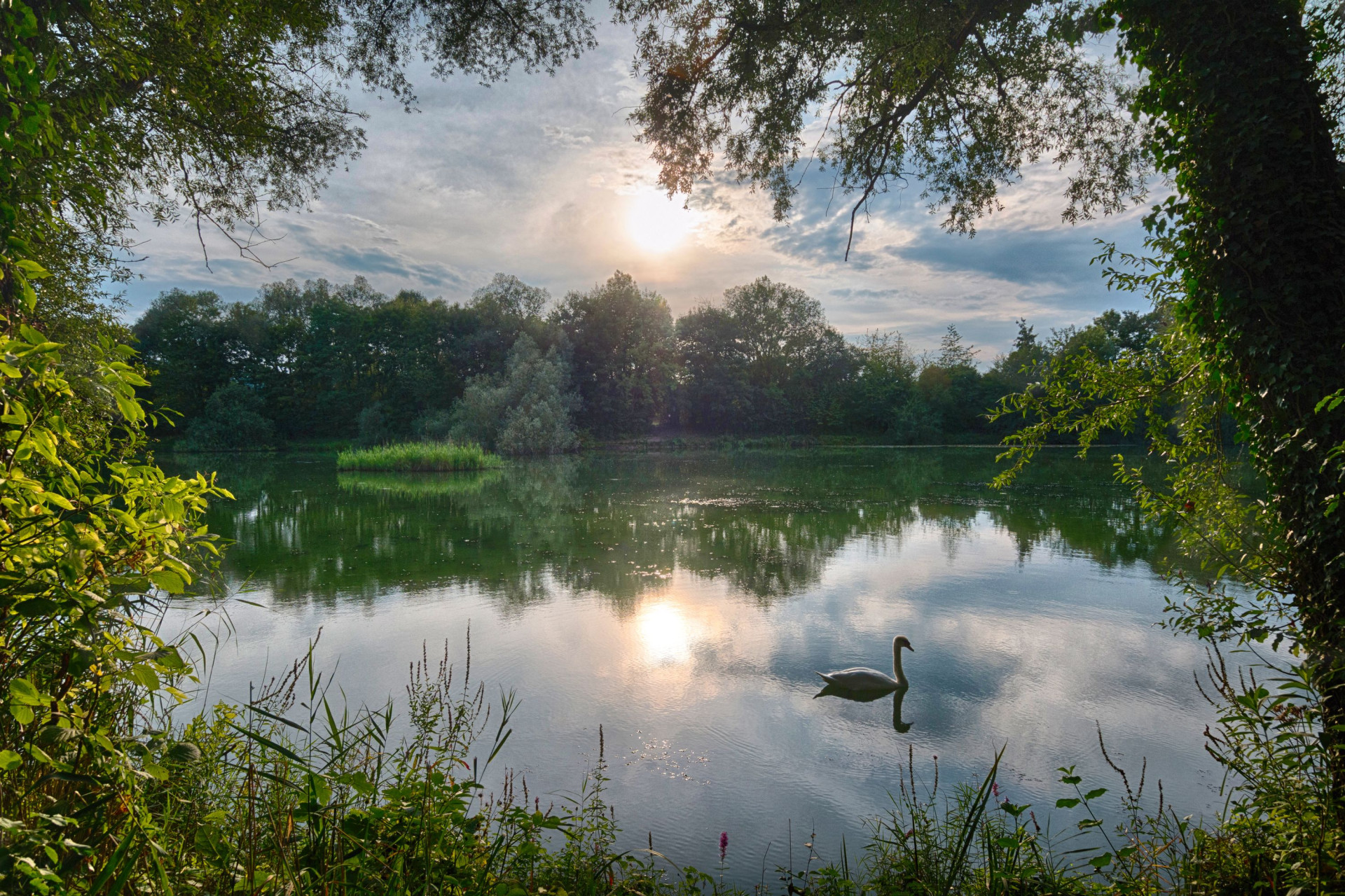 Seeloch im Naturschutzgebiet "Alte Neckarschlinge" | Lauffen am Neckar | HeilbronnerLand