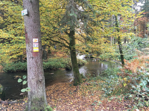 Beliebtes Wanderziel bei Postfelden: Das Naturschutzgebiet Höllbachtal