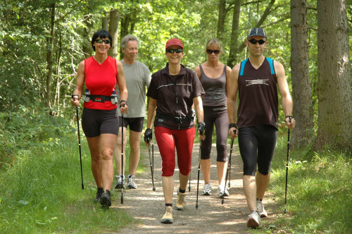 Nordic Walkinggruppe im Wald bei Breuna